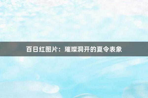 百日红图片：璀璨洞开的夏令表象